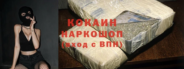 индика Абаза