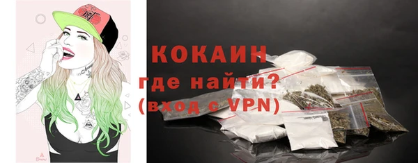 индика Абаза