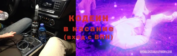 индика Абаза