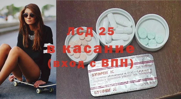 индика Абаза