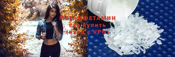 индика Абаза