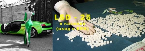 индика Абаза