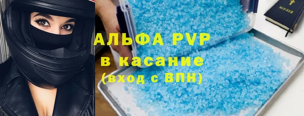индика Абаза