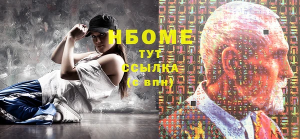 индика Абаза