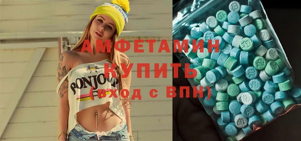 индика Абаза
