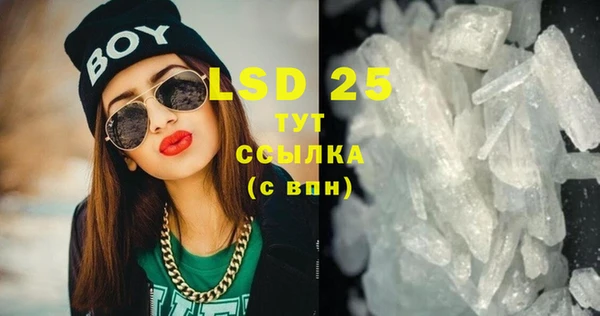 индика Абаза