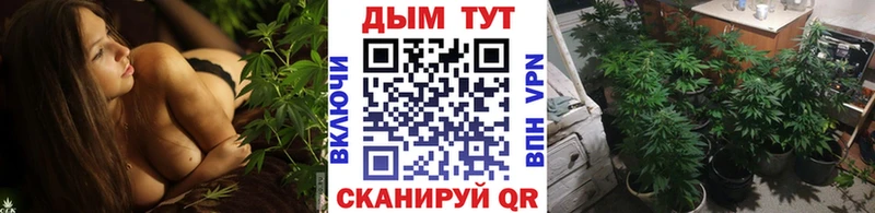 Бошки Шишки LSD WEED  Звенигород 